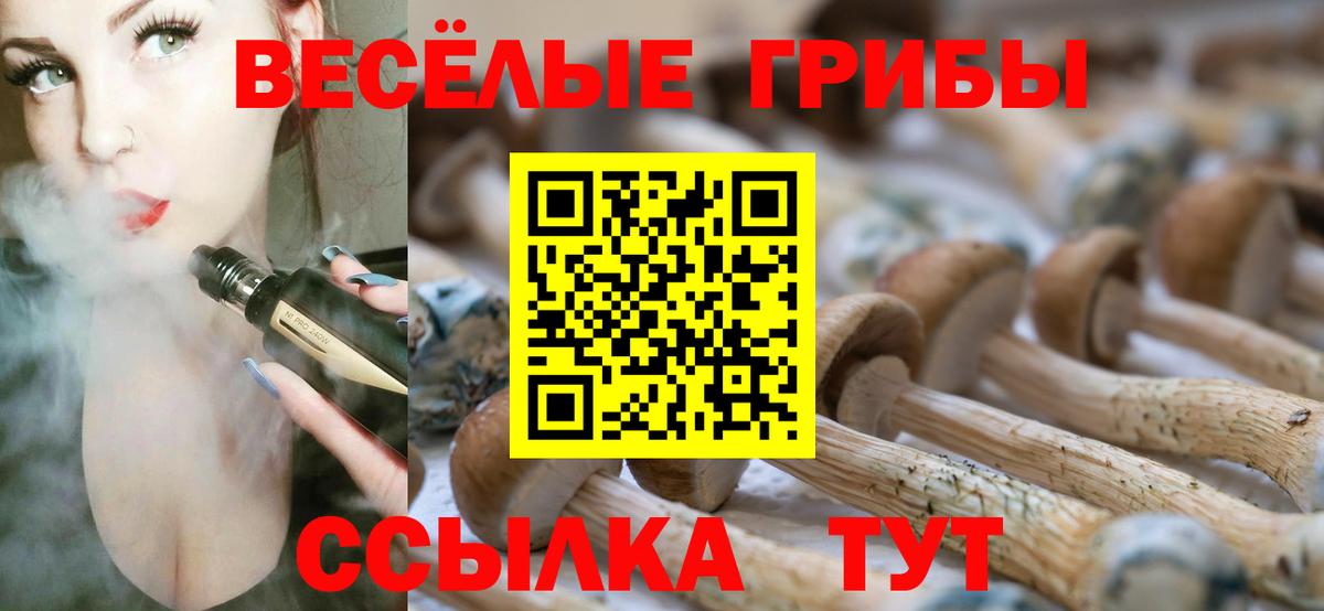 Галлюциногенные грибы MAGIC MUSHROOMS  Галлюциногенные грибы Magic Shrooms  Знаменск  Вход с VPN 
